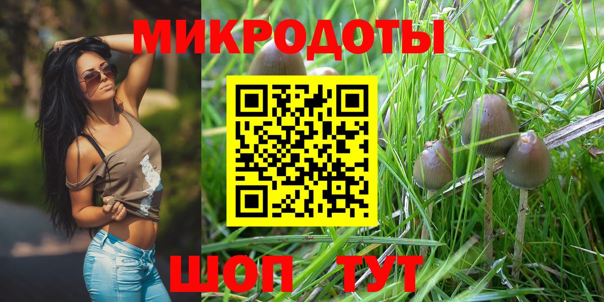 Галлюциногенные грибы GOLDEN TEACHER  Вход с VPN  Славгород 