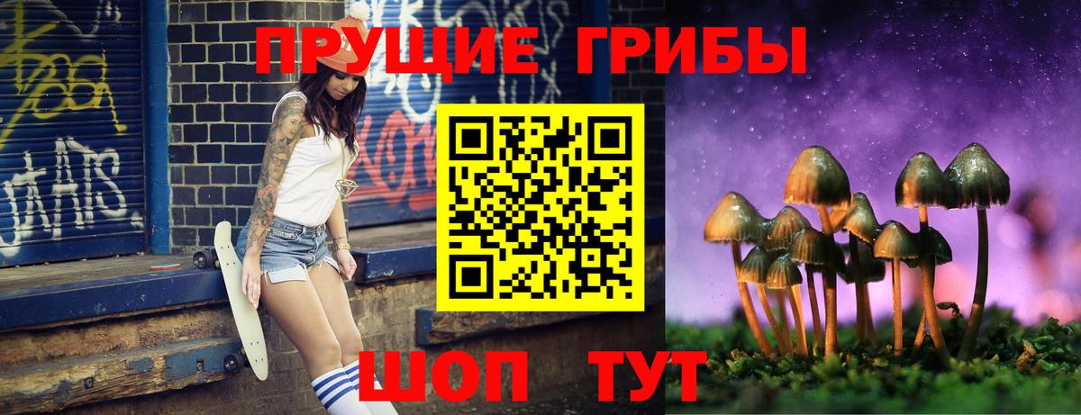 Галлюциногенные грибы ЛСД Славгород